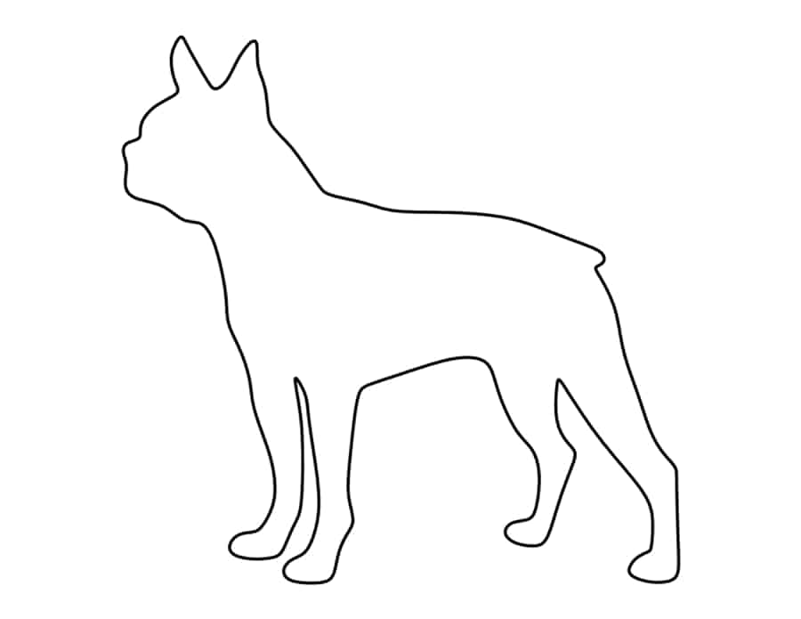 Boston Terrier Tracing Worksheets Pdf Free Vectors